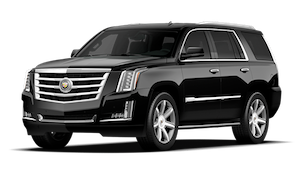 Book an SUV for a family vacations or families with children. The SUV accomodates up to 6 passengers and 6 suitcases. It is great for children and car seats.